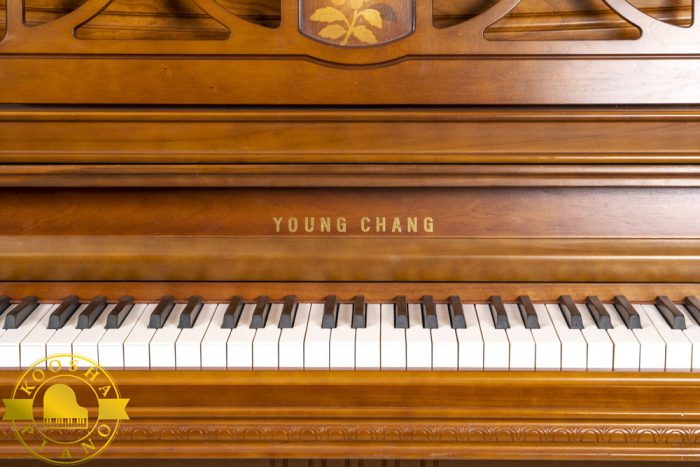 پیانو کارکرده آکوستیک یانگ چانگ مدل young chang uc-118